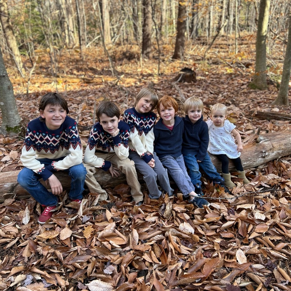 ❤️ Like this listing to be notified of upcoming live shows